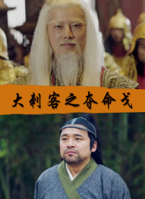 国产精品v在线播放观看